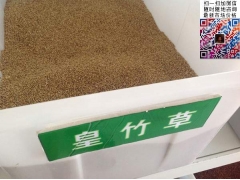 買皇竹草多少錢一斤合算？