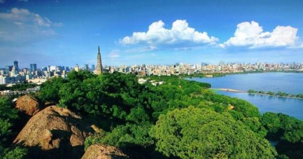 學(xué)習(xí)國(guó)外苗木行業(yè)經(jīng)驗(yàn)，搶先了解國(guó)內(nèi)市場(chǎng)動(dòng)態(tài)