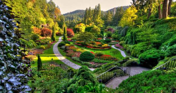 學(xué)習(xí)國(guó)外苗木行業(yè)經(jīng)驗(yàn)，搶先了解國(guó)內(nèi)市場(chǎng)動(dòng)態(tài)