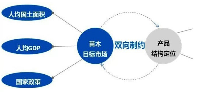 學(xué)習(xí)國(guó)外苗木行業(yè)經(jīng)驗(yàn)，搶先了解國(guó)內(nèi)市場(chǎng)動(dòng)態(tài)