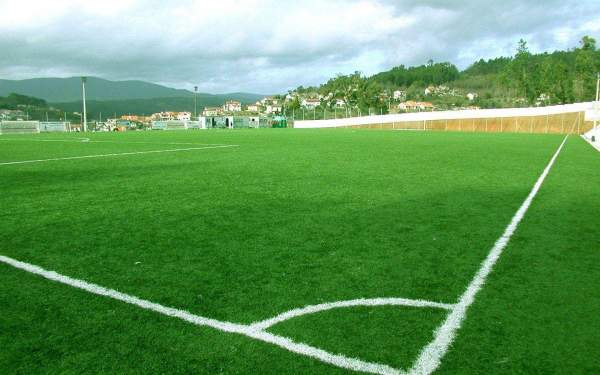 足球場天然草坪