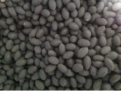 陜西哪里有賣荷花種子的？