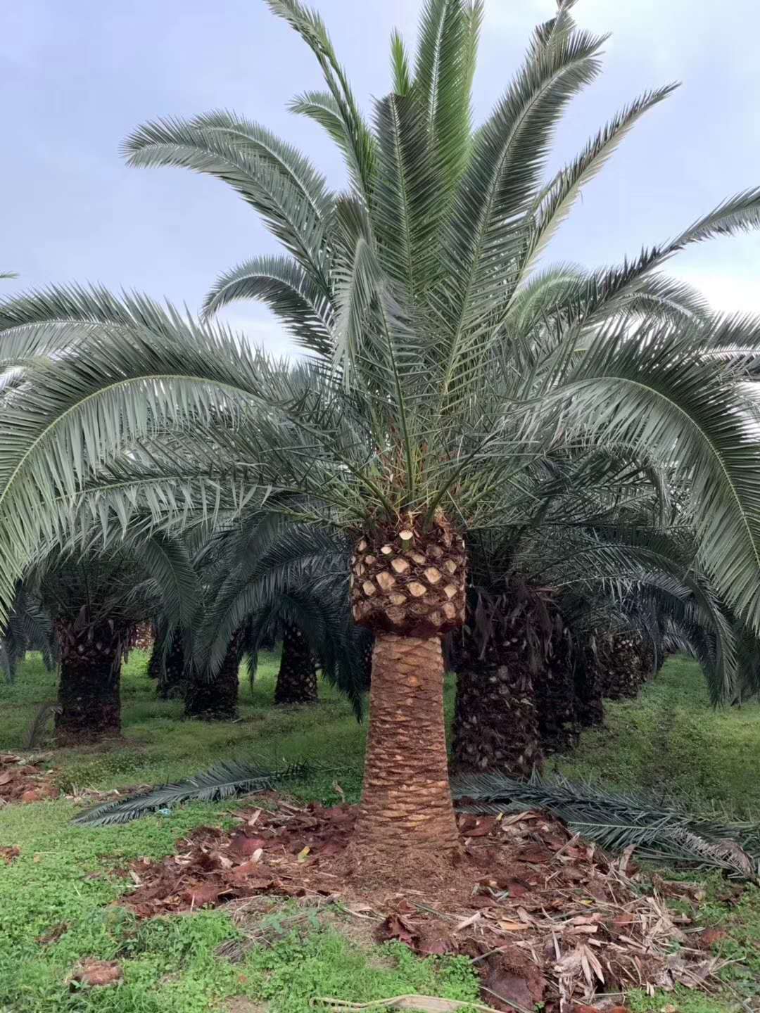 1648277264560051.jpg