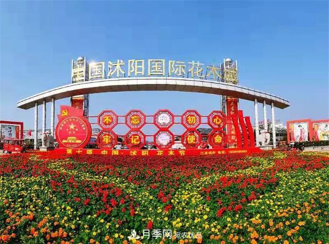 值得收藏！這些全國著名苗木產地你知道幾個？